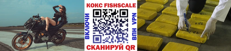 COCAIN Fish Scale Нововоронеж