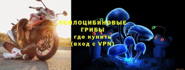 шишки Богданович
