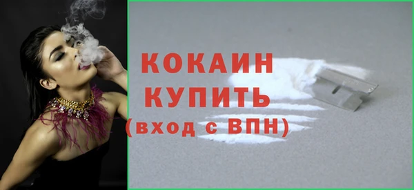 шишки Богданович