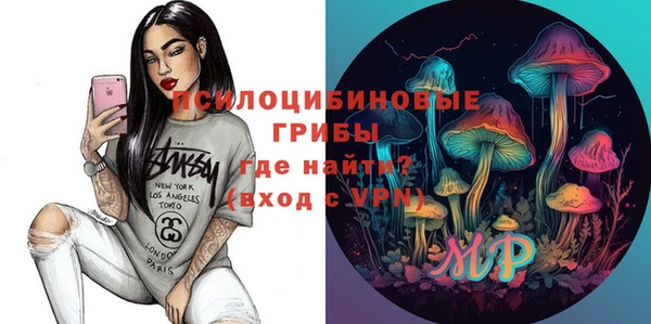 шишки Богданович