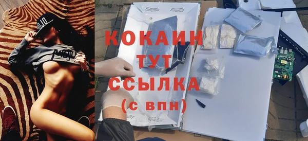 шишки Богданович
