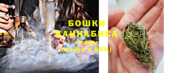 шишки Богданович